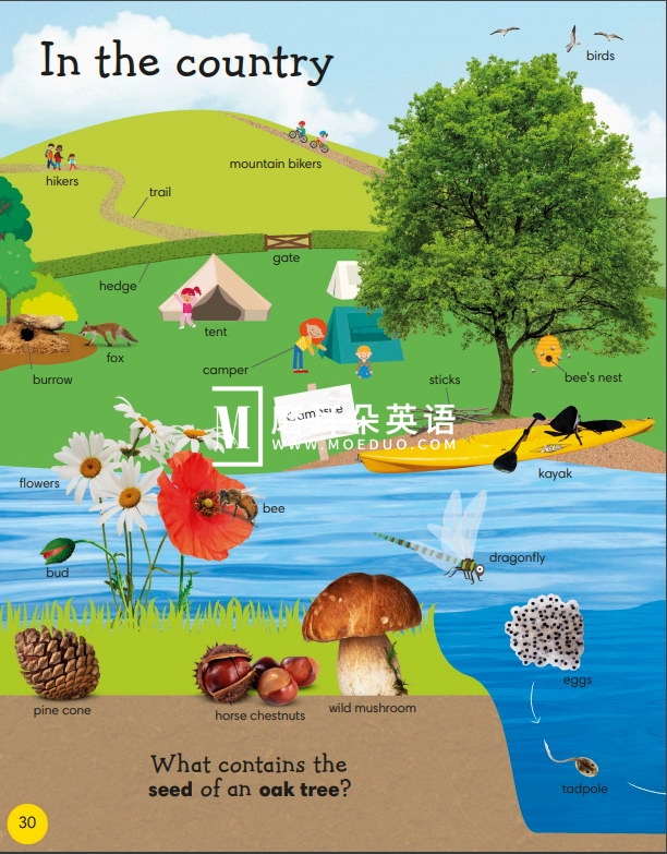 DK 1000 useful words 图片32 DK 1000 useful words 图片31