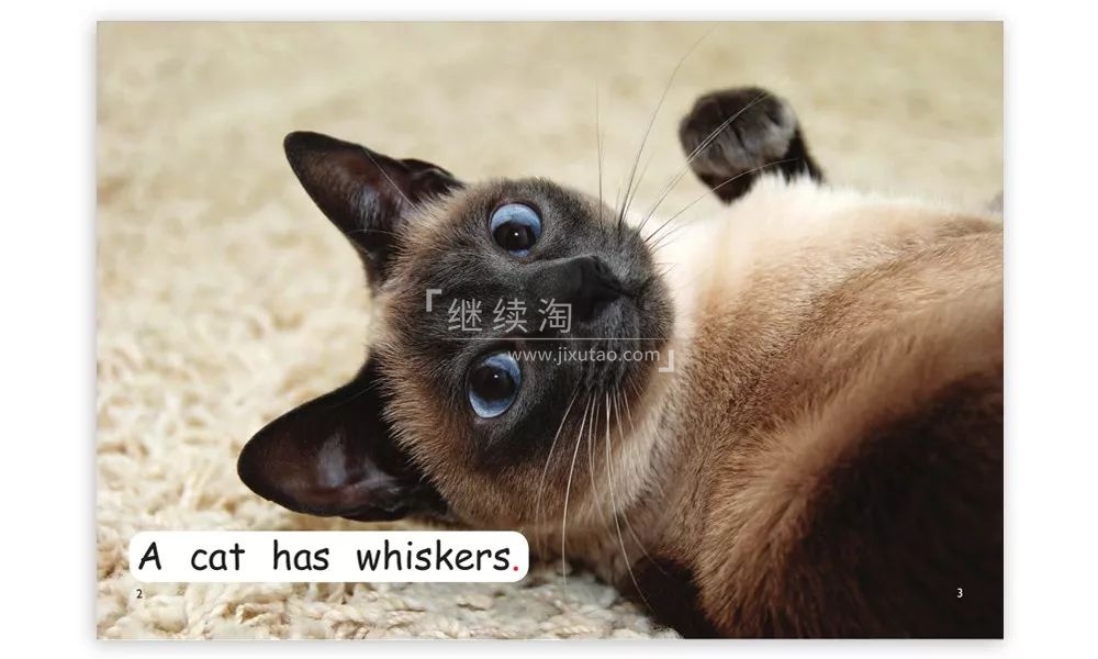 红火箭分级阅读 图片34 红火箭分级阅读 图片33