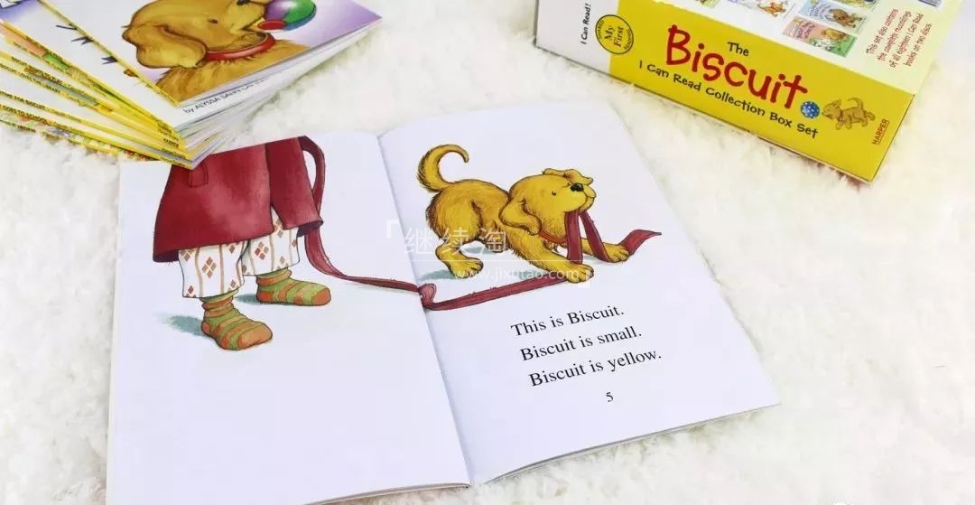 Biscuit 饼干狗 图片8 Biscuit 饼干狗 图片7