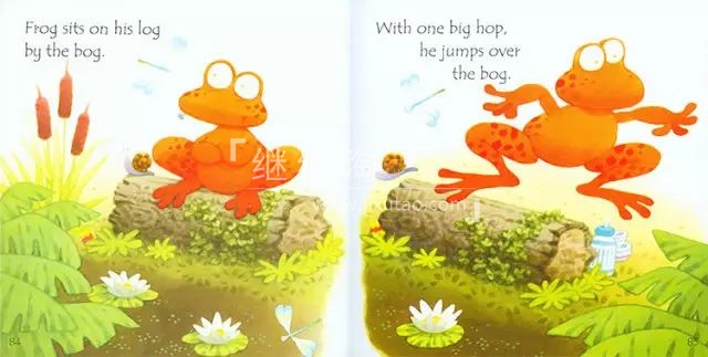 Usborne 斯伯恩绘本 图片12 Usborne 斯伯恩绘本 图片11