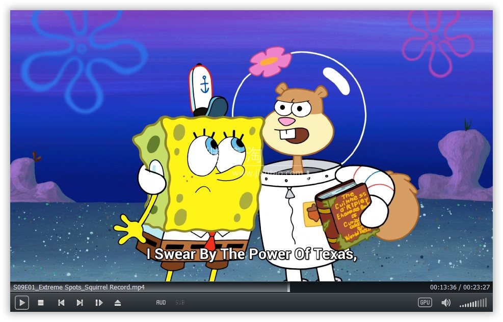 SpongeBob SquarePants 海绵宝宝 图片14 SpongeBob SquarePants 海绵宝宝 图片13