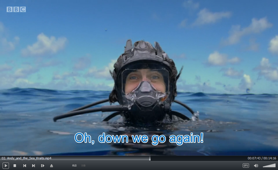 Andy's Aquatic Adventures 安迪 图片26 Andy's Aquatic Adventures 安迪 图片25