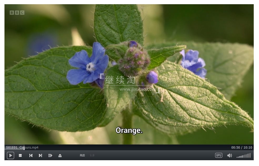 I Can Grow It 图片4 I Can Grow It 图片3
